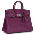 HERMÈS BIRKIN 25 ANEMONE OSTRICH PALLADIUM HARDWARE