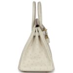 HERMÈS BIRKIN 25 BETON OSTRICH GOLD HARDWARE