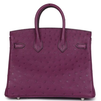 HERMÈS BIRKIN 25 ANEMONE OSTRICH PALLADIUM HARDWARE