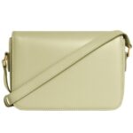 CELINE TEEN TRIOMPHE BAG IN SHINY CALFSKIN ALMOND GREEN