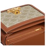 CELINE TEEN TRIOMPHE BAG IN TRIOMPHE CANVAS AND CALFSKIN