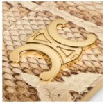 CELINE CARD HOLDER TRIOMPHE IN PYTHON