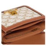 CELINE TEEN TRIOMPHE BAG IN TRIOMPHE CANVAS AND CALFSKIN WHITE